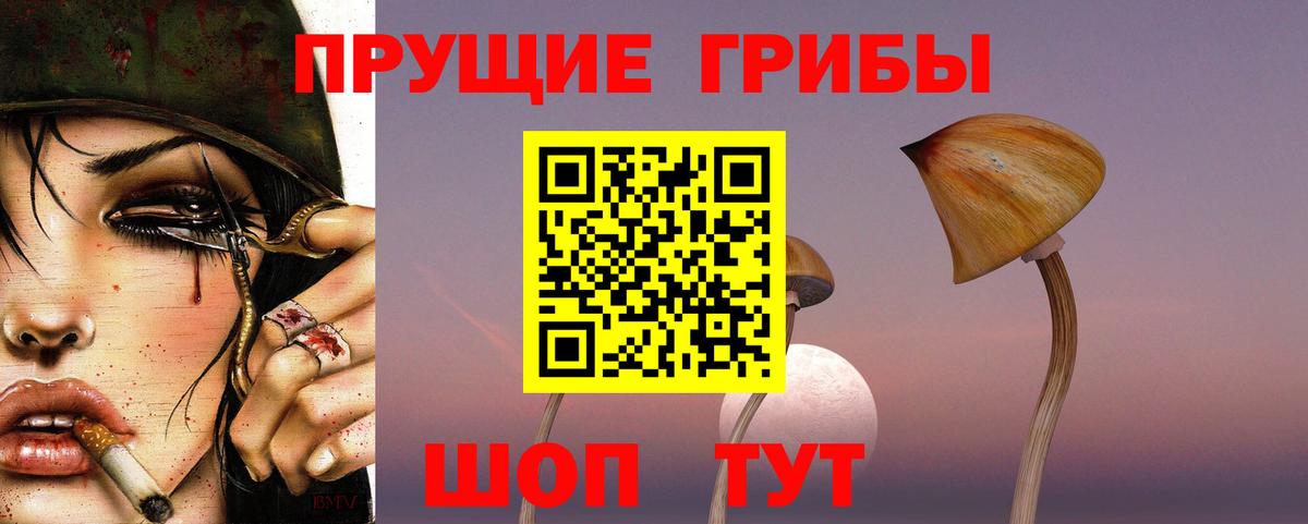 Псилоцибиновые грибы GOLDEN TEACHER Конаково