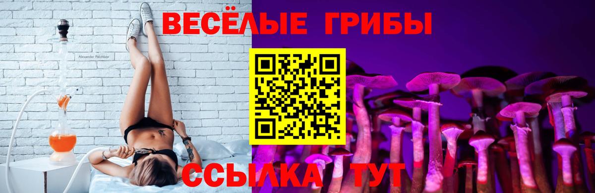 Конаково  Галлюциногенные грибы Psilocybine cubensis  Вход с VPN  Псилоцибиновые грибы Psilocybine cubensis 